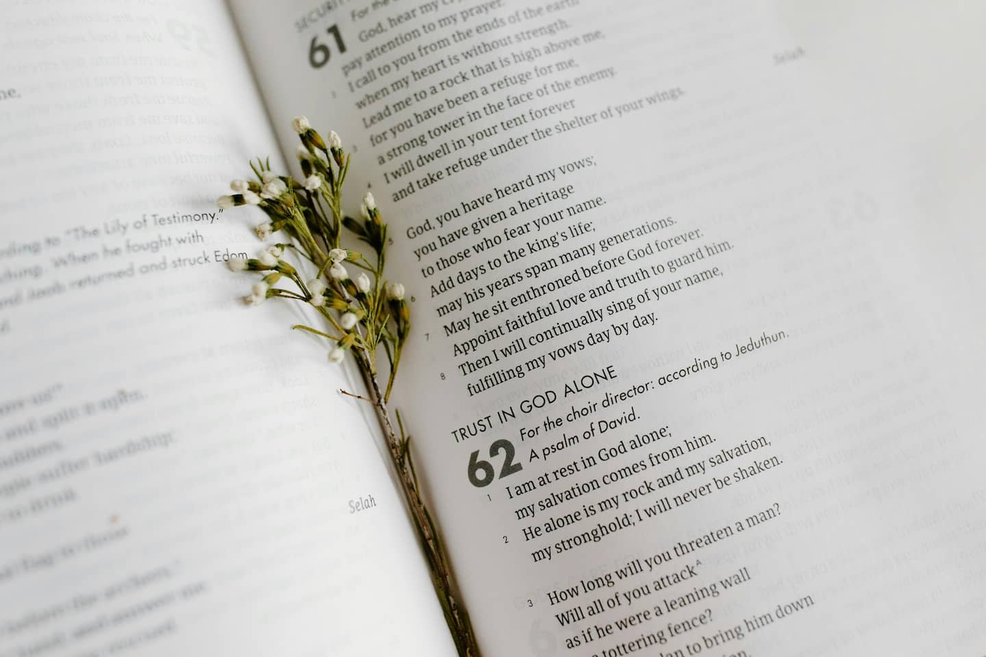 Bible-Psalm